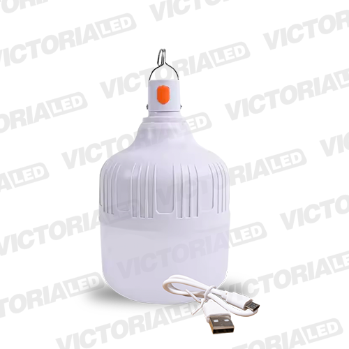 FOCO LED RECARGABLE 30W 6500K 30U/C