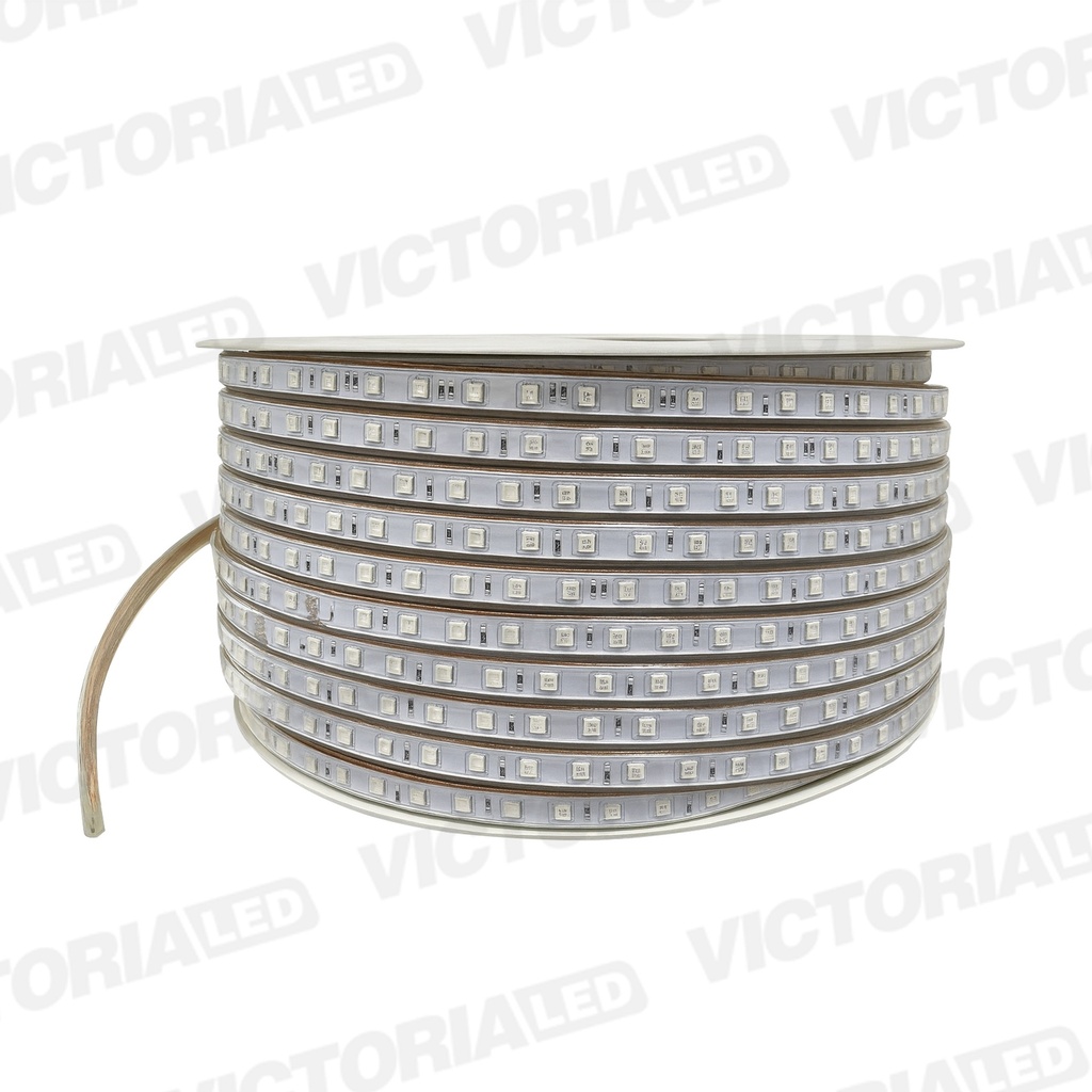 MANGUERA LED MG-5050 10MM RGB 1 METRO